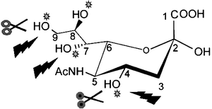 figure 2_28