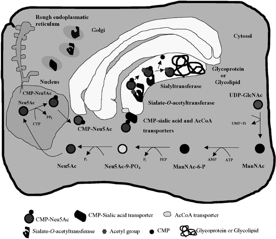 figure 3_28