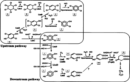 figure 3_15