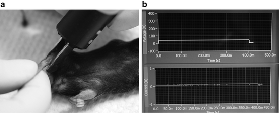 figure 2_16