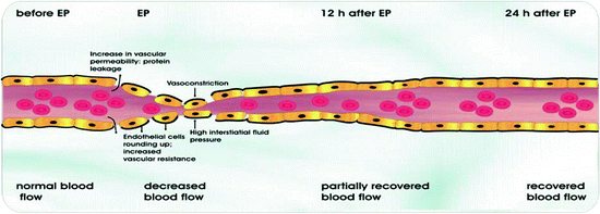 figure 2_7