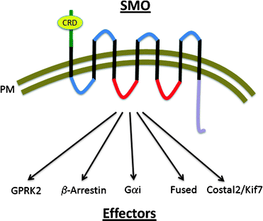 figure 1_3