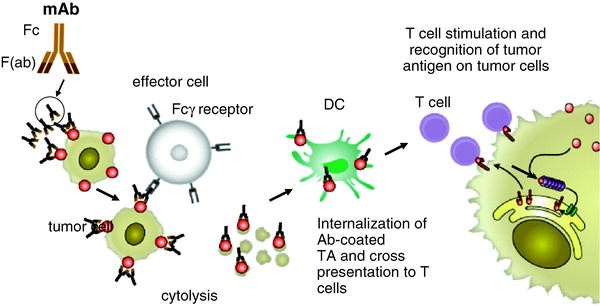 figure 2_6