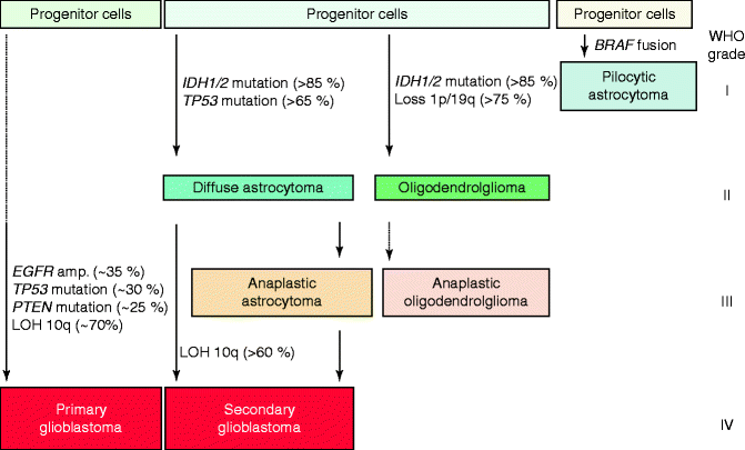 figure 00053