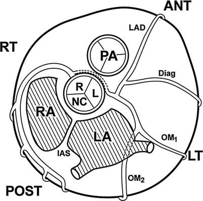 figure 27