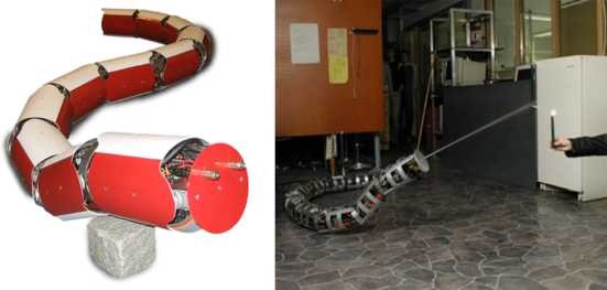 Review of snake robots in constrained environments - ScienceDirect