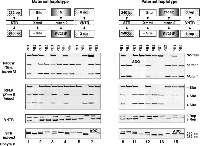 figure 16