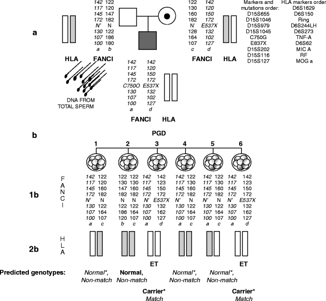 figure 24