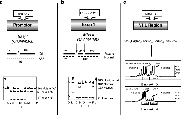 figure 34