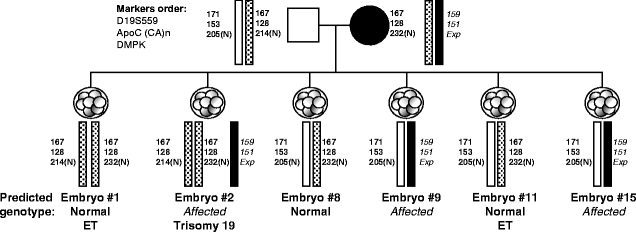 figure 51