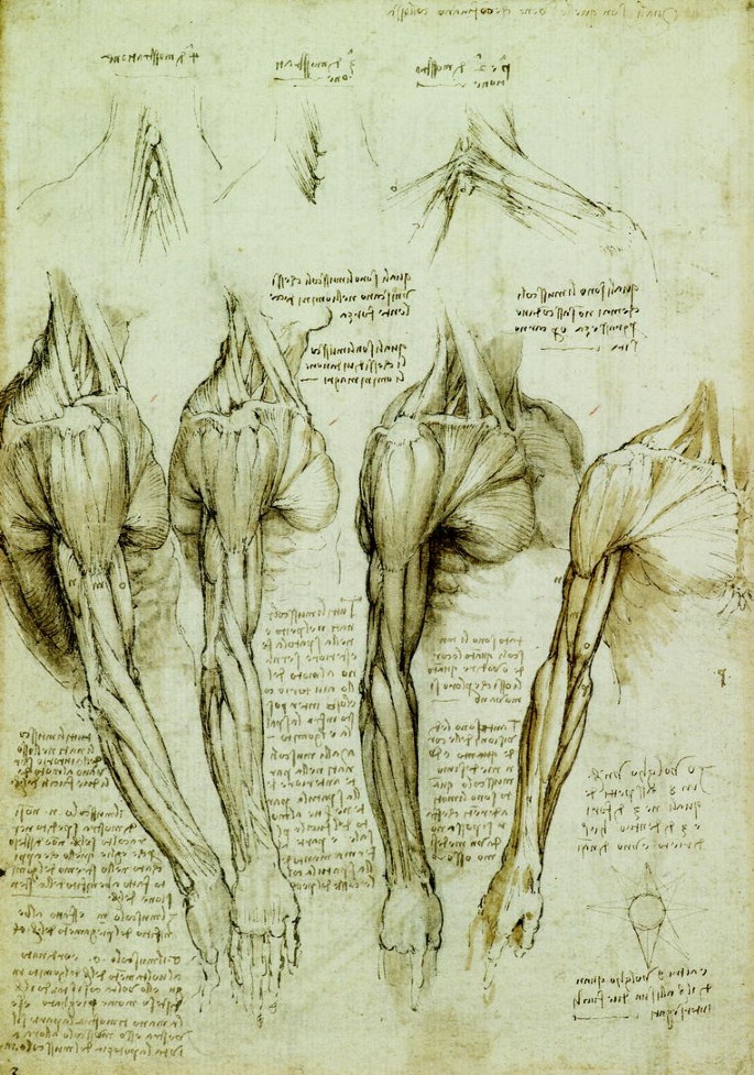 Leonardo's Use of Drawing | SpringerLink