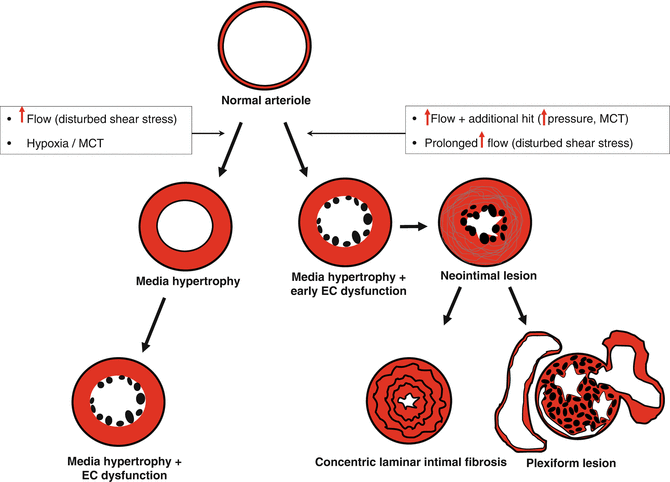 figure 02036