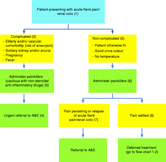 Flank Pain/Renal Colic