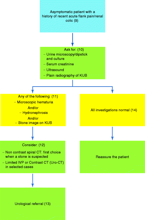 Differential Diagnosis of Flank Pain, PDF, Kidney