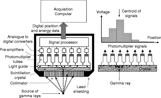 Gamma Camera SPECT | SpringerLink