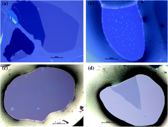 figure 16