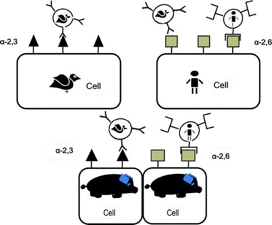 figure 5_8