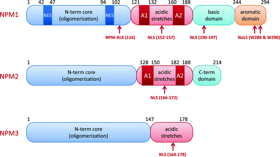 figure 1_10