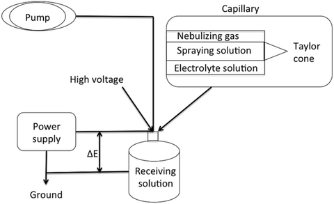 figure 12_13