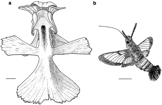 Lacera Group | SpringerLink