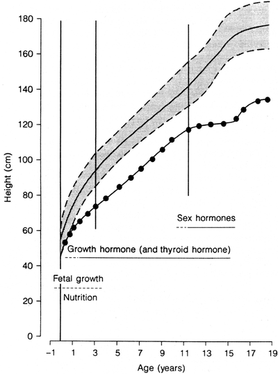 figure 1_24