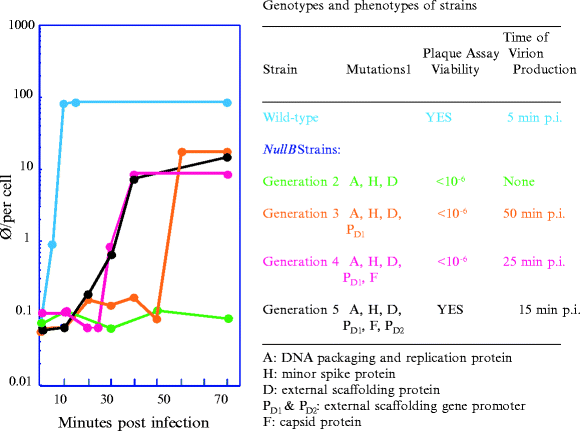 figure 6_14