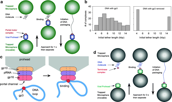 figure 2_24