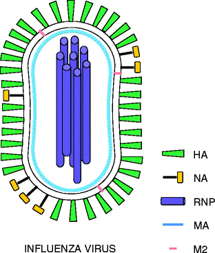 figure 1_9