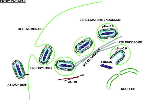 figure 4_9