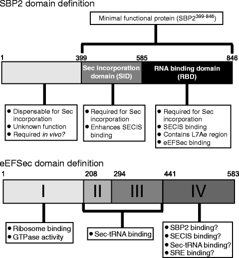 figure 2_3