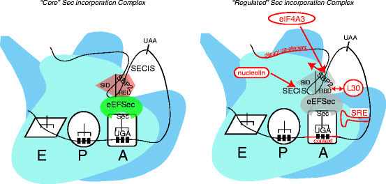 figure 3_3