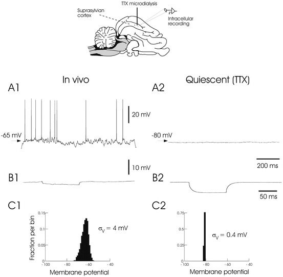 figure 00082