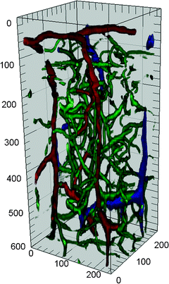 figure 21_15