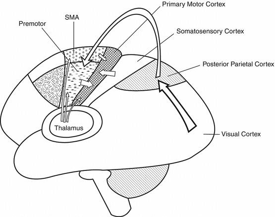 figure 01283