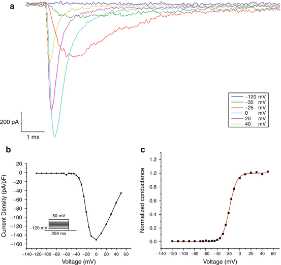 figure 00034