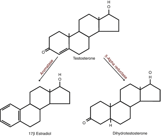 figure 00594