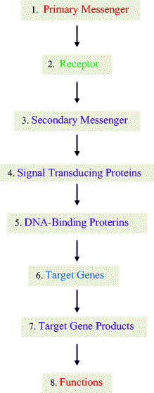 figure 35