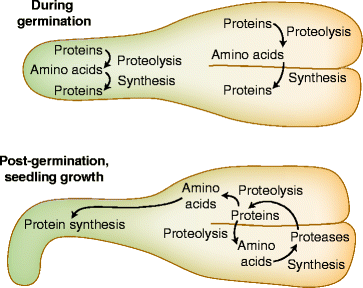 figure 21