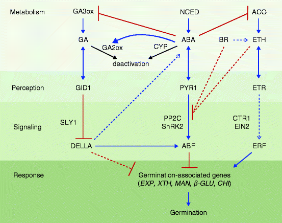 figure 18