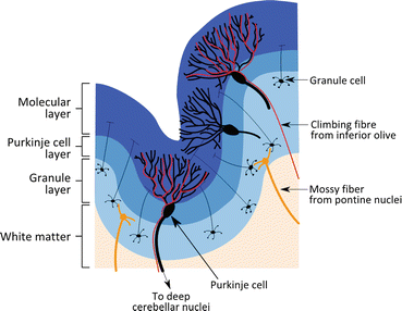 figure 00444