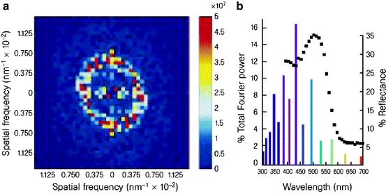 figure 34