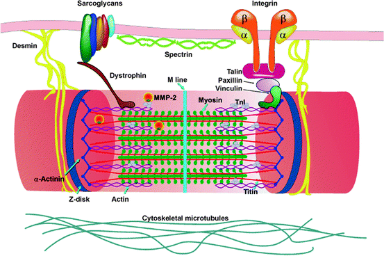 figure 00261