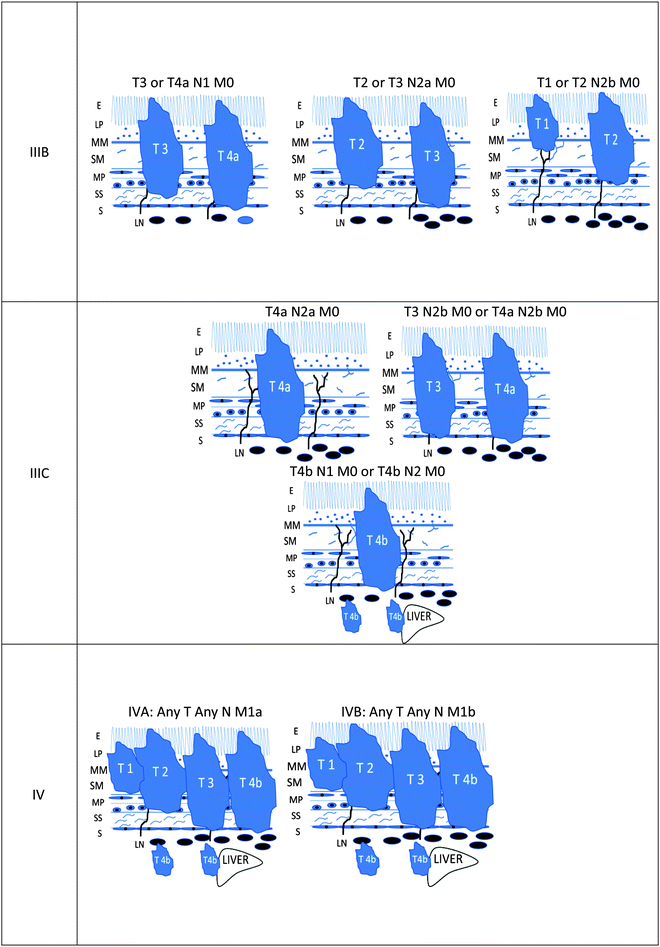 figure 00012