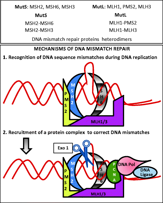 figure 00072