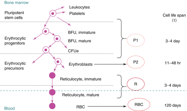 figure 000517