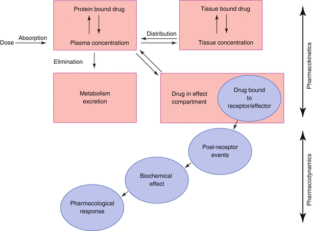 Introduction to Pharmacokinetics on Make a GIF