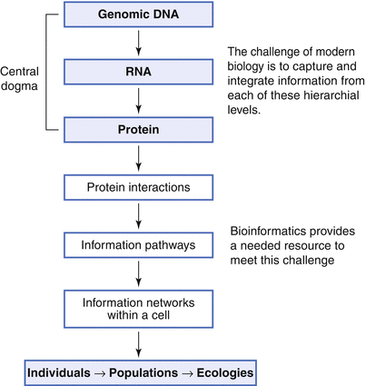 figure 00082