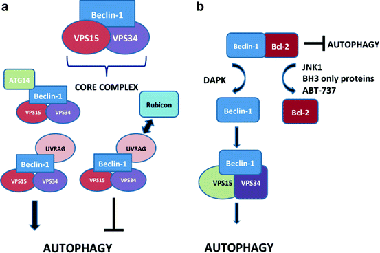 figure 00072