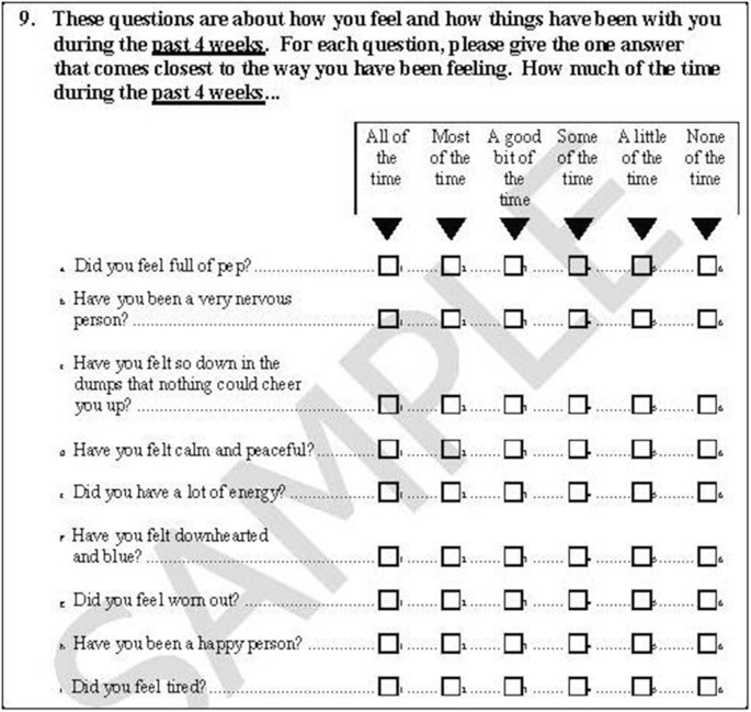Sff Questionnaire.pdf Health Services Research | SpringerLink