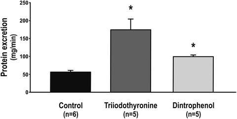 figure 00023